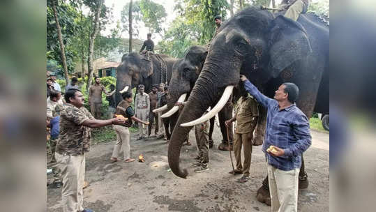 ಮತ್ತಾವರ ಅರಣ್ಯಭಾಗದಲ್ಲಿ ಕಾಡಾನೆ ಕಾರ್ಯಾಚರಣೆಗೆ ಮರಿ ಆನೆ ಅಡ್ಡಿ: ಡ್ರೋಣ್‌ ಗೂ ಸಿಗದ ಒಂಟಿ ಸಲಗ!