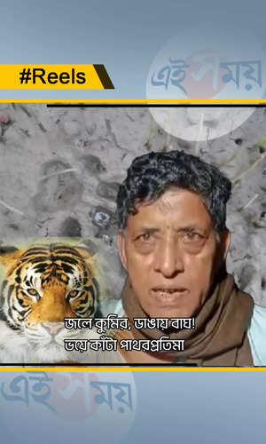 tiger footprints found in pathar pratima area creates panic among local people watch video