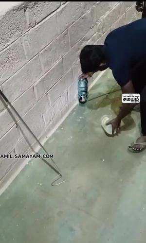 cobra was hiding in a shoe incident at coimbatore