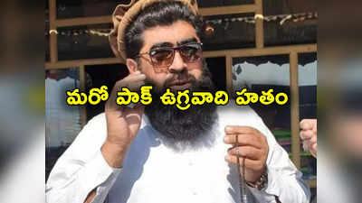 Pakistan: పాక్‌లో వరుసగా ఉగ్రవాదుల హత్యలు.. ఎవరు చేస్తున్నారు?