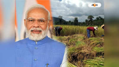 PM-AASHA : কৃষকদের মুশকিল আসান! চালু প্রধানমন্ত্রী অন্নদাতা আয় সংরক্ষণ অভিযান