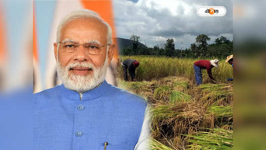 PM-AASHA : কৃষকদের মুশকিল আসান! চালু প্রধানমন্ত্রী অন্নদাতা আয় সংরক্ষণ অভিযান