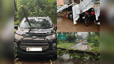 Kochi Infopark Rain: ചുഴലിക്കാറ്റിൽ ആടിയുലഞ്ഞ് ഇൻഫോപാർക്ക് മേഖല; പോസ്റ്റും മരവും വീണ് തകർന്നത് നിരവധി വാഹനങ്ങളും വീടുകളും