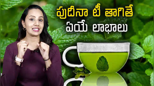 winter mint tea benefits