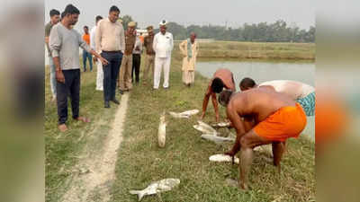 मछली पालन से काम रहें 25 लाख रुपये सालाना, देवरिया में प्रधानमंत्री मत्स्य संपदा योजना से जानिए कैसे मिली मदद
