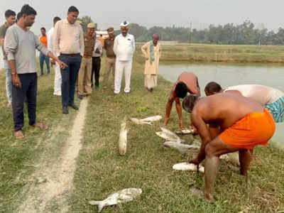 मछली पालन से काम रहें 25 लाख रुपये सालाना, देवरिया में प्रधानमंत्री मत्स्य संपदा योजना से जानिए कैसे मिली मदद