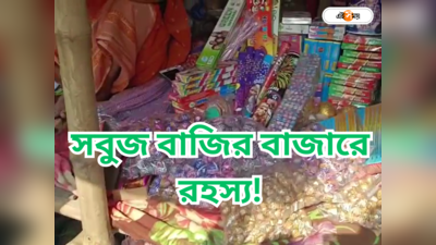 Diwali Crackers : সবুজ বাজির বাজারে এ সব কী! মুখে হাসি নিয়ে ক্রেতারা বলছেন, না কিনলে হয়...