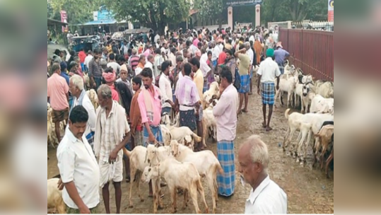 சேலம் வீரகனூரில் களைகட்டிய ஆட்டுச் சந்தை; மூன்று கோடிக்கும் மேல் விற்பனையானதாக விவசாயிகள் மகிழ்ச்சி!