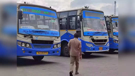 TNSTC சிறப்பு பேருந்துகள்... மீண்டும் ஊர் திரும்ப ஏற்பாடு... 2 நாட்களுக்கு மிஸ் பண்ணிடாதீங்க!