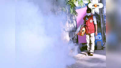 Dengue Symptoms : ডেঙ্গি আক্রান্তের সংখ্যা প্রায় ৯০ হাজার, স্বস্তিতে নেই স্বাস্থ্যকর্তারা