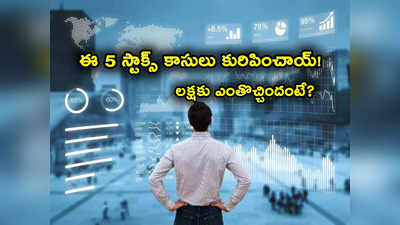 ఇన్వెస్టర్ల పంట పండించిన 5 స్టాక్స్.. 2022 దీపావళికి రూ. లక్ష పెట్టుబడి పెడితే ఇప్పుడు ఎంతొచ్చిందంటే? 