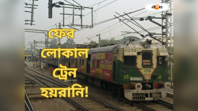 Local Train News: বনগাঁ লাইনে ট্রেনের চাকায় আগুনের স্ফুলিঙ্গ! বারাসত-মধ্যমগ্রামে ঠাকুর দেখতে গিয়ে বিপত্তি, আতঙ্ক
