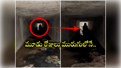 Vikarabad: మృత్యువును జయించిన వృద్ధురాలు.. 3 రోజులుగా డ్రైనేజీలోనే బిక్కుబిక్కుమంటూ..