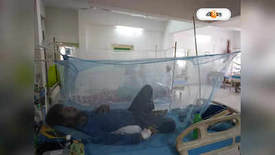 Dengue Fever : ট্যাবলেটে জব্দ ডেঙ্গি? আশায় স্বাস্থ্য মহল