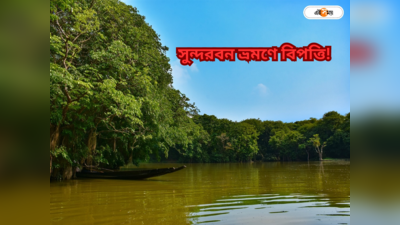 Sundarban Tour: সুন্দরবন বেড়াতে যাওয়ায় বিপত্তি! যাতায়াতের পথে নাকানি চোবানি হতে পারেন পর্যটকরা
