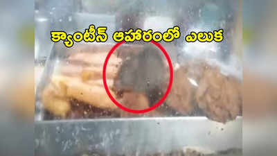 Hospital Canteen: ఆస్పత్రి క్యాంటీన్‌ ఆహారంలో ఎలుక.. షాక్ అయిన రోగులు 