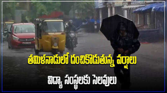 తమిళనాడులో భారీ వర్షాలు.. స్కూళ్లు, కాలేజీలకు సెలవులు