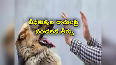 Stray Dogs: కుక్క కాట్లపై హైకోర్టు ఆగ్రహం.. కాటుకు రూ.10 వేలు, గాయానికి రూ.20 వేలు ఇవ్వాలని ఆదేశాలు