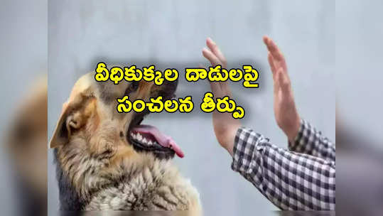 Stray Dogs: కుక్క కాట్లపై హైకోర్టు ఆగ్రహం.. కాటుకు రూ.10 వేలు, గాయానికి రూ.20 వేలు ఇవ్వాలని ఆదేశాలు 