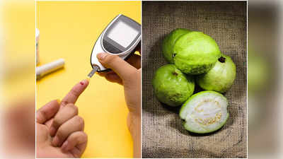 Guava For Diabetes: নিয়মিত এই সস্তার ফলে কামড় বসালে, আকাশ ছোঁয়া ব্লাড সুগারও কমবে বলে বলে!