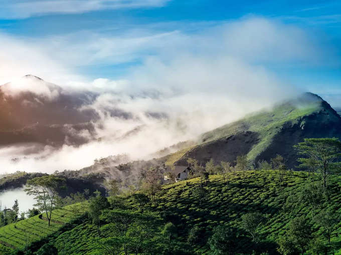 ಮುನ್ನಾರ್, ಕೇರಳ