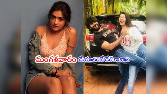 Payal Rajput: కార్తీకేయతో మళ్లీ చేయాలనుంది.. కానీ: పాయల్ రాజ్‌పుత్ 