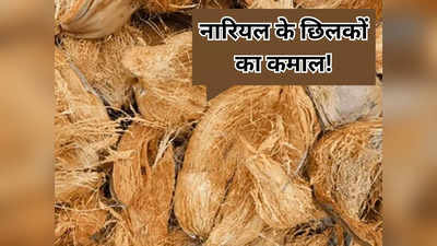 बड़े काम का है नारियल का छिलका, कचरे में फेंकने से पहले जान लें Coconut Husk के ये 5 यूज