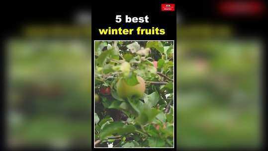 5 best winter season fruits