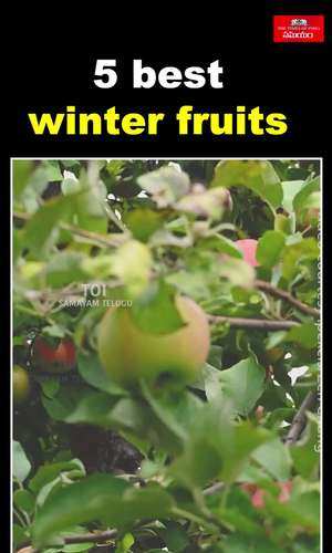 5 best winter season fruits