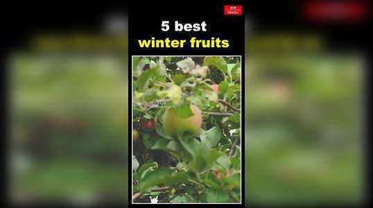 5 best winter season fruits