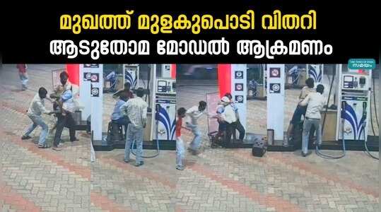Theft At Petrol Pump: ജീവനക്കാരൻ്റെ മുഖത്ത് മുളകുപൊടി വിതറി; പെട്രോൾ പമ്പിൽ സിനിമ സ്റ്റൈൽ കവർച്ച