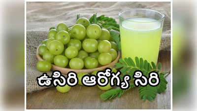 Amla in Winter : చలికాలంలో ఉసిరి తింటే ఈ సమస్యలన్నీ దూరం.. 