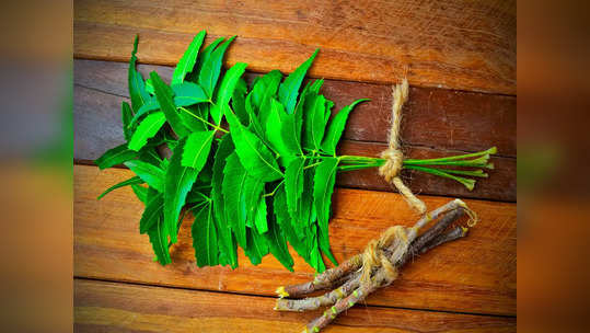 Neem Leaves: ఉదయం ఖాళీ కడుపుతో వేపాకులు తింటే.. ఈ అద్భుతాలు జరుగుతాయ్..!