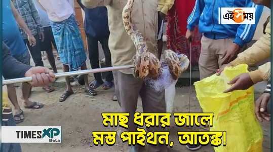 durgapur kanksa fishermen caught big size python later rescued by forest department watch video