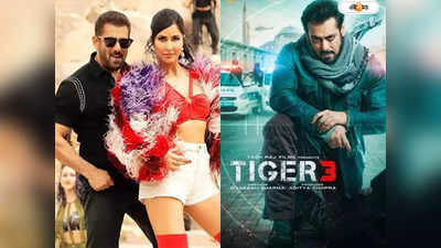 Tiger 3 Box Office Collection : পাঠানের ত্রিসীমানাতেও নেই! কত আয় করল সলমানের টাইগার ৩?