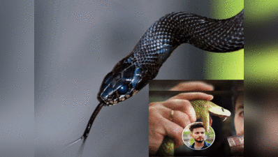 एल्विश-फाजिलपुरिया की बढ़ी मुश्किलें, मिल गए दो कोबरा सांप, डायरी से खुलेंगे सारे राज