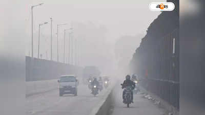 Delhi Pollution : নাড়াপোড়ার দূষণ রুখতে টাস্ক ফোর্স? ভাবনা কেন্দ্রের