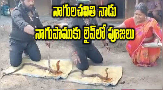నాగుల చవితి: పాముకు లైవ్‌గా పూజలు.. అమ్మ బాబోయ్!