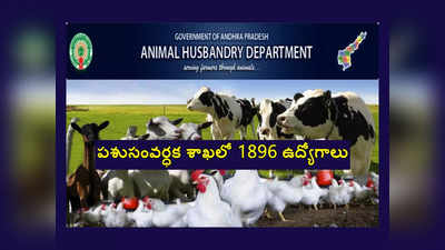 AP AHD : ఏపీ పశుసంవర్ధక శాఖలో 1896 ఉద్యోగాలు.. నోటిఫికేషన్‌ విడుదల.. పూర్తి వివరాలివే 