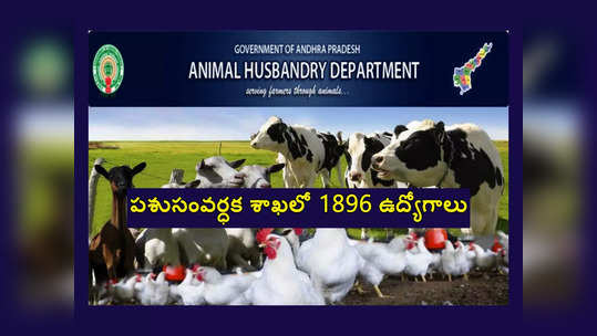 AP AHD : ఏపీ పశుసంవర్ధక శాఖలో 1896 ఉద్యోగాలు.. నోటిఫికేషన్‌ విడుదల.. పూర్తి వివరాలివే 