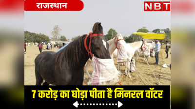Pushkar Mela : 7 करोड़ का यह घोड़ा पीता है मिनरल वॉटर, 24 घंटे एक डॉक्टर रहता है तैनात, खूबियां जान रह जाएंगे हैरान