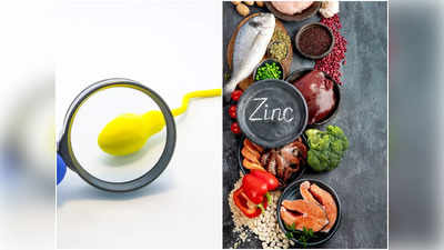 Zinc Foods For Fertility: জিঙ্ক সমৃদ্ধ এই ৫ খাবার খেলেই বাড়বে পুরুষের ফার্টিলিটি, বাবা হওয়ার স্বপ্ন পূরণ হবে বৈকি!