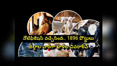 AP AHD : ఆంధ్రప్రదేశ్‌లో 1896 ప్రభుత్వ ఉద్యోగాలు.. నోటిఫికేషన్‌ వచ్చేసింది.. జిల్లాల వారీగా ఖాళీల వివరాలివే 