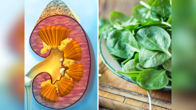 Kidney Stones Causing Foods: किडनी में भयानक पथरी बनाती हैं 15 चीजें, असहनीय पीड़ा से बचना है तो बना लें दूरी