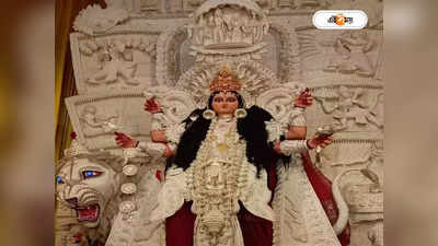 Jagadhatri Puja : মাভোগে থাকে মাছ-লুচি, শিল্পীকে আলতা পরার স্বপ্ন দেন ব্যানার্জি বাড়ির  জগদ্ধাত্রী