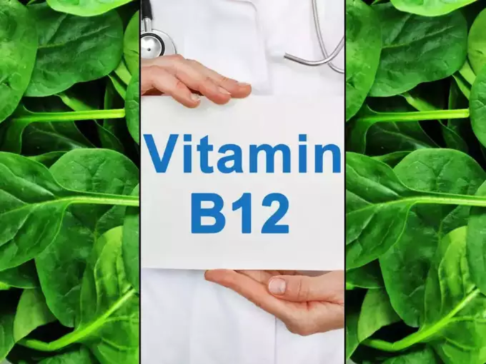 व्हिटॅमिन बी 12 युक्त फुड्स
