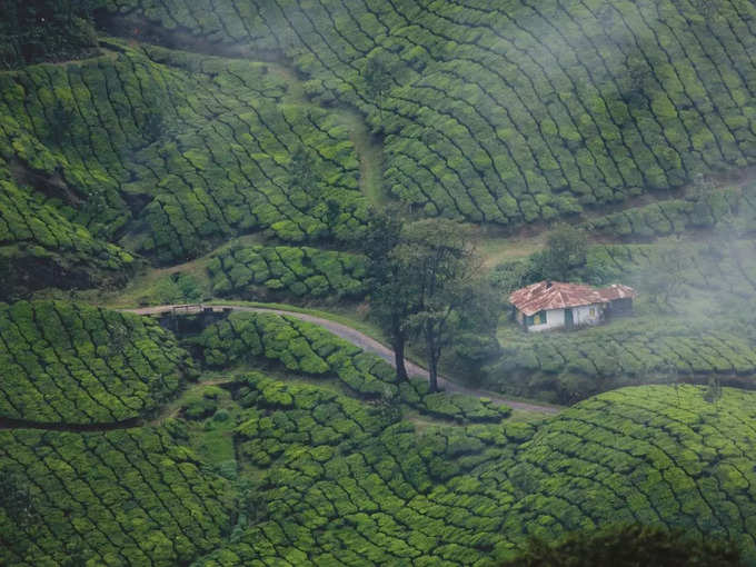 ಚಿಕ್ಕಮಗಳೂರು 