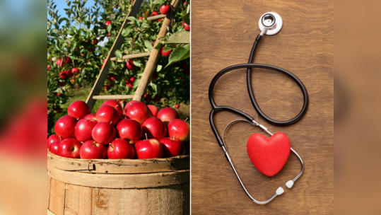 Apple Benefits: હાર્ટ અટેક, સ્ટ્રોકથી બચવું હોય તો દરરોજ ખાવ એક સફરજન, હૃદયરોગથી બચવાની સસ્તી રીત 