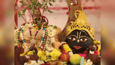 Tulsi Vivah 2023 Date: তুলসী বিবাহের তারিখে বিভ্রান্তি? জানুন এর সঠিক তারিখ, পুজোর নিয়ম ও মন্ত্র