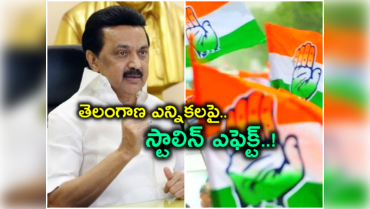 Telangana Elections: టీకాంగ్రెస్‌కు సీఎం స్టాలిన్ సపోర్ట్.. ఆ స్థానాల్లో గట్టిగానే ప్రభావం.. అసలు కారణం ఇదే! 